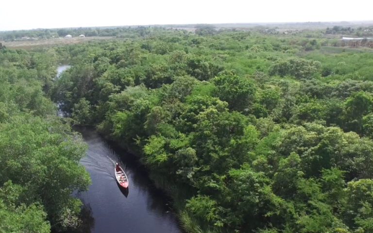 Exploring Jamaica’s Rivers | History And Significance