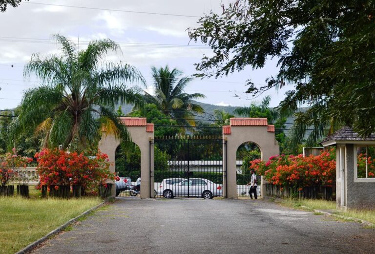 Exploring the Most Beautiful Gardens In Jamaica