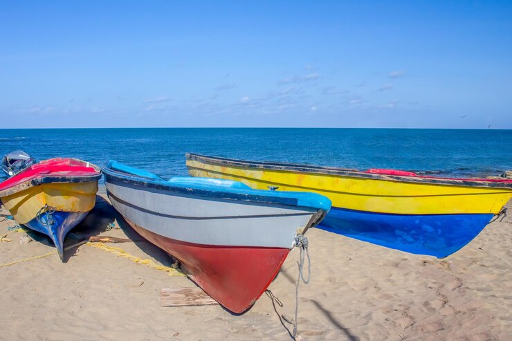Fishing in Jamaica | The Ultimate Guide To the Best Spots, Fish And Seasons