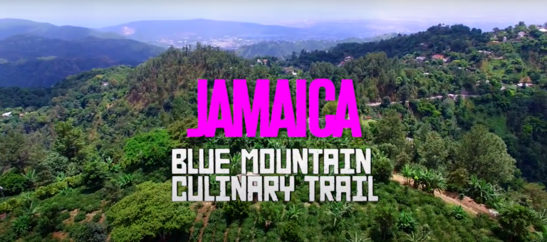 Jamaica Blue Mountain Coffee Festival 2025: A Celebration of Culture and Brew
