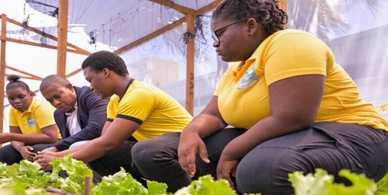 The Working Class in Jamaica: Challenges, Economic Impact, and Leisure
