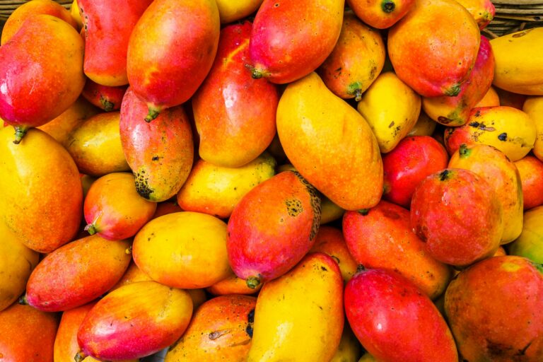 The Magnificent Mango: Jamaica’s Golden Treasure
