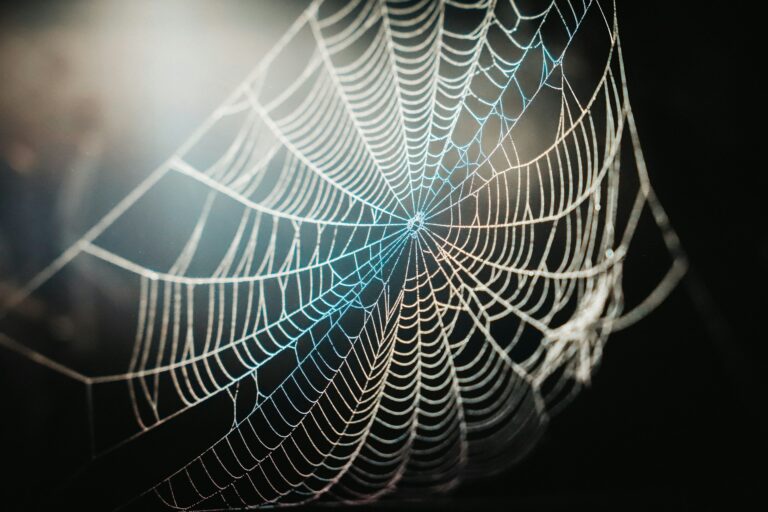 Anansi: The Clever Spider Who Taught Us Life Lessons