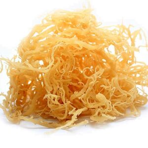 100% Natural Jamaican Irish Sea Moss