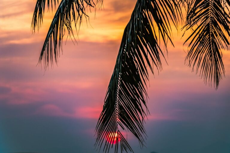 100 Hours in Montego Bay