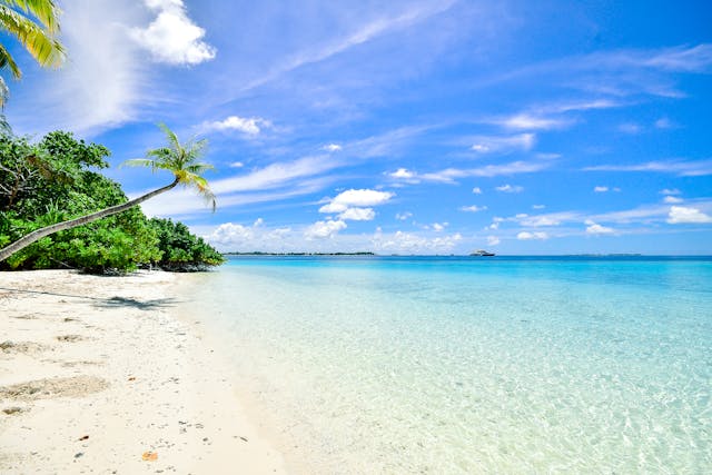 Doctor’s Cave Beach